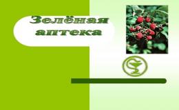 ЛЕТНЯЯ ШКОЛЬНАЯ ОЗДОРОВИТЕЛЬНАЯ ПЛОЩАДКА. ЗДОРОВЬЕ.