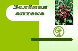 ЛЕТНЯЯ ШКОЛЬНАЯ ОЗДОРОВИТЕЛЬНАЯ ПЛОЩАДКА. ЗДОРОВЬЕ.